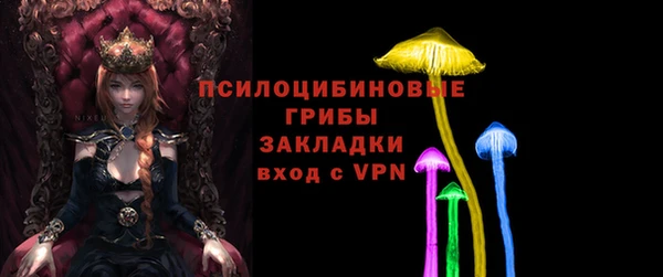 твердый Лагань