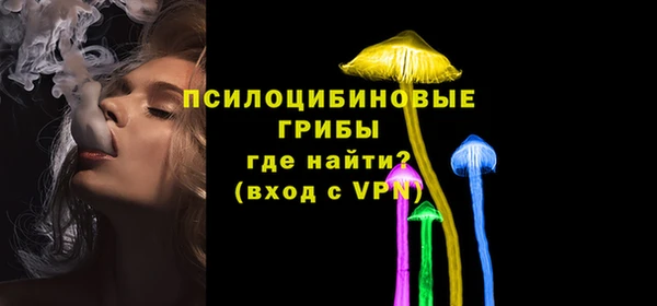 СК Ладушкин