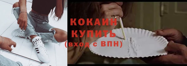 твердый Лагань
