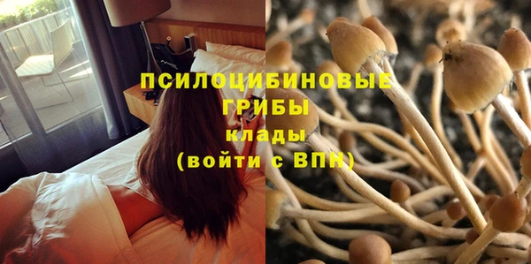 СК Ладушкин