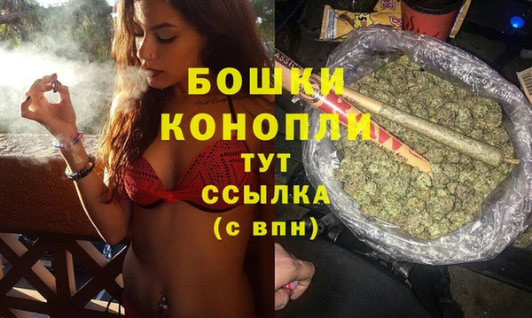 твердый Лагань