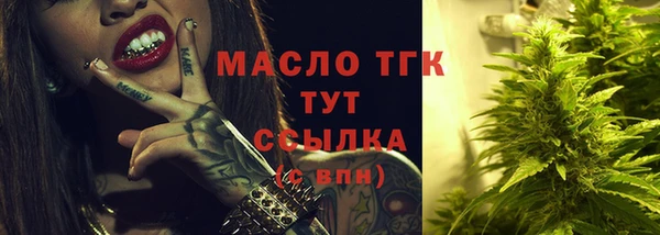 твердый Лагань