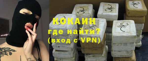твердый Лагань